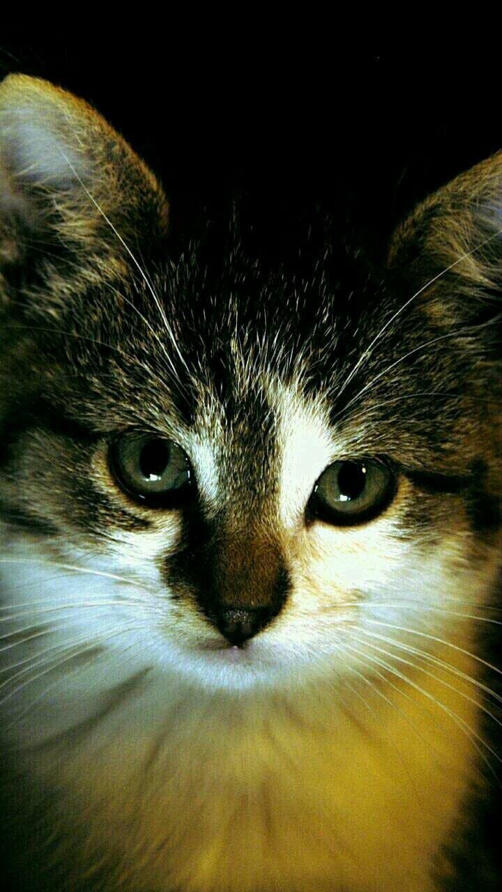 ❤