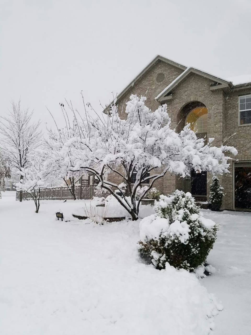 winter wonderland