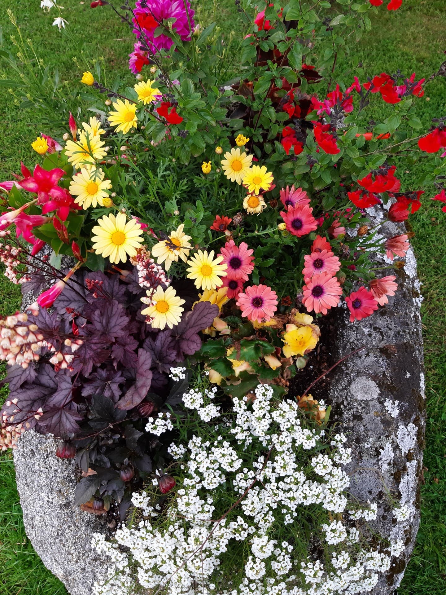 jardinière
