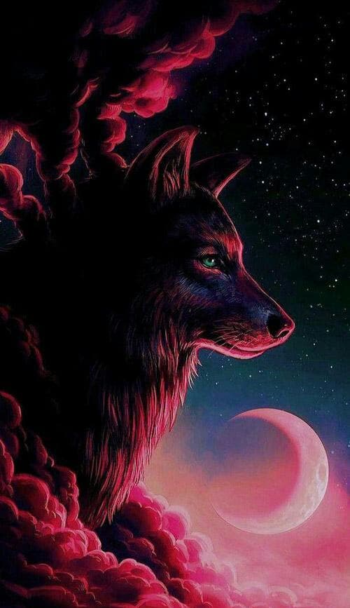 a wolf in sky