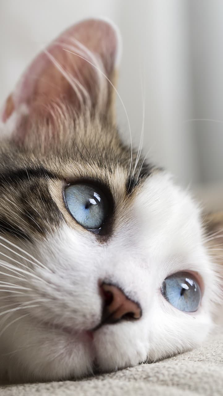 ?