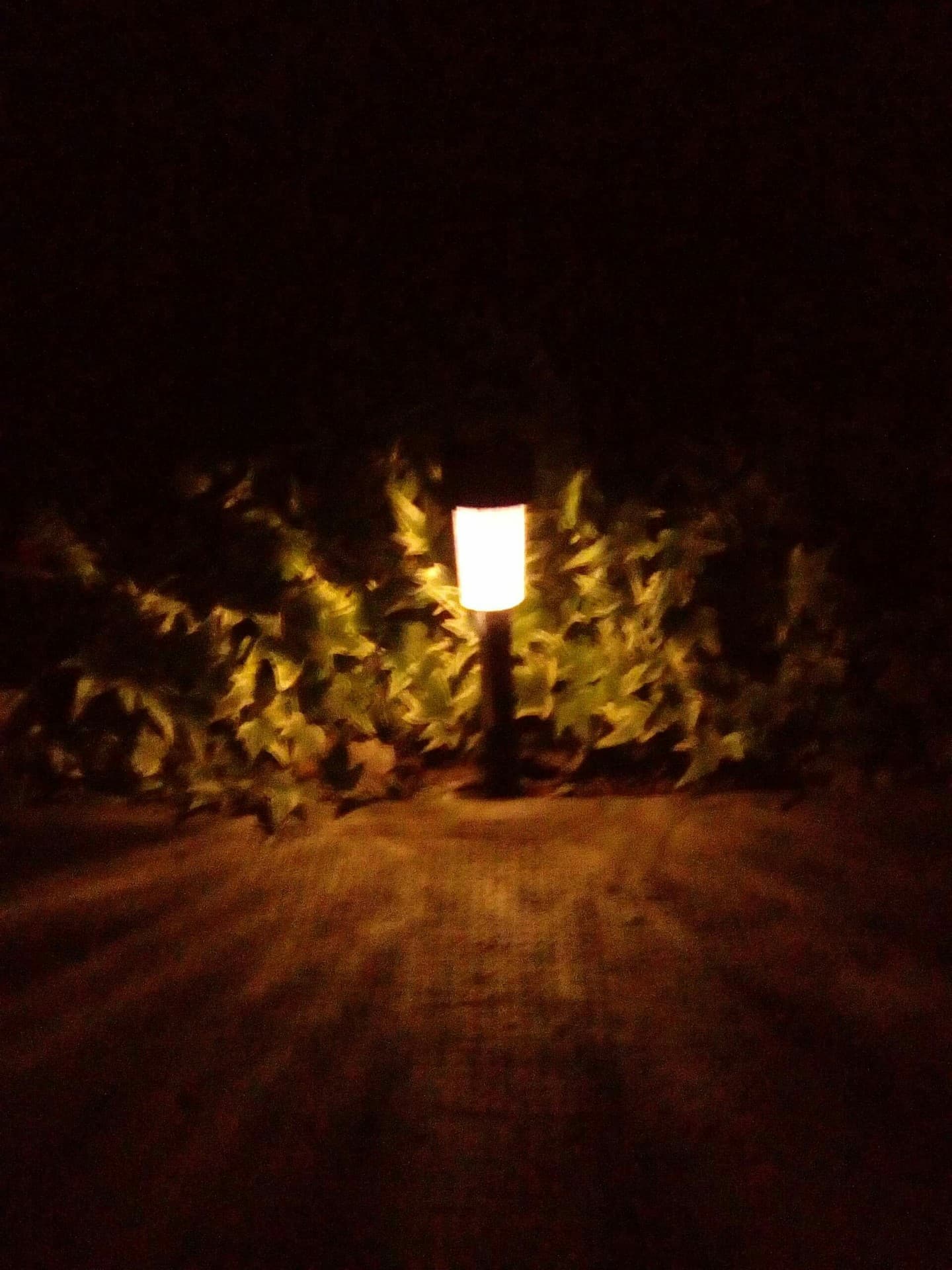 light