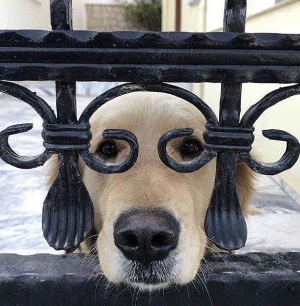 No Glasses Needed :)