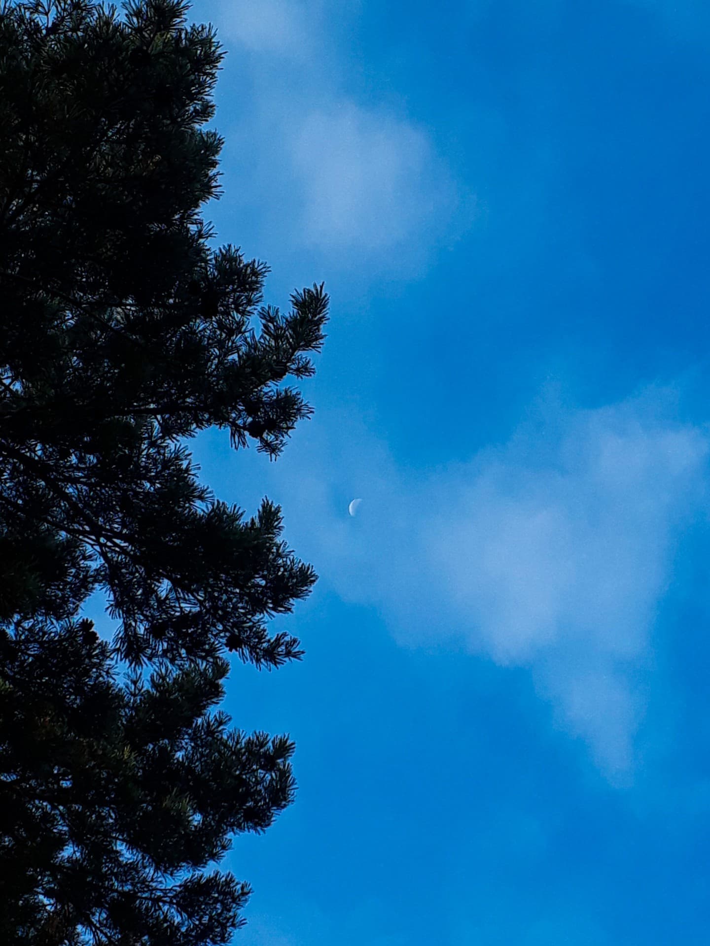 Moon I ma?