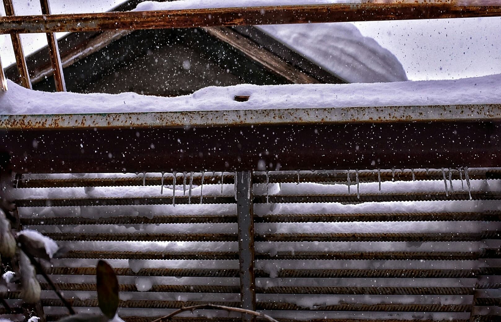 ❄