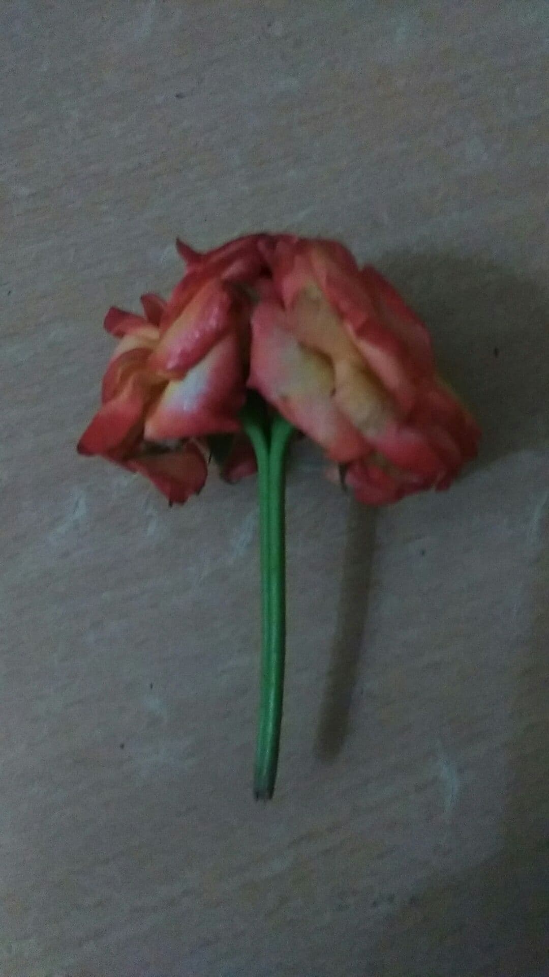 two 