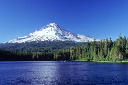 The scenery