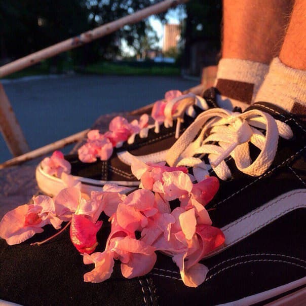 vans
