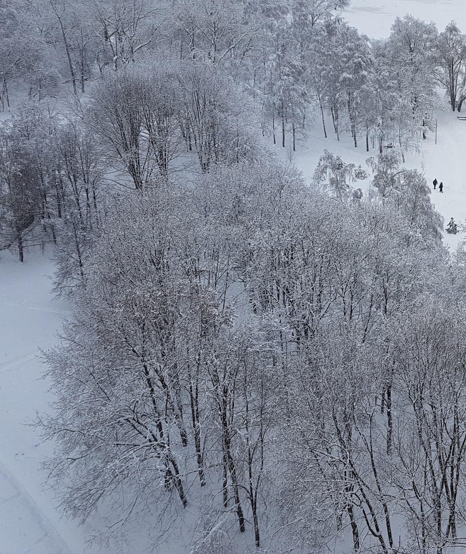 winter