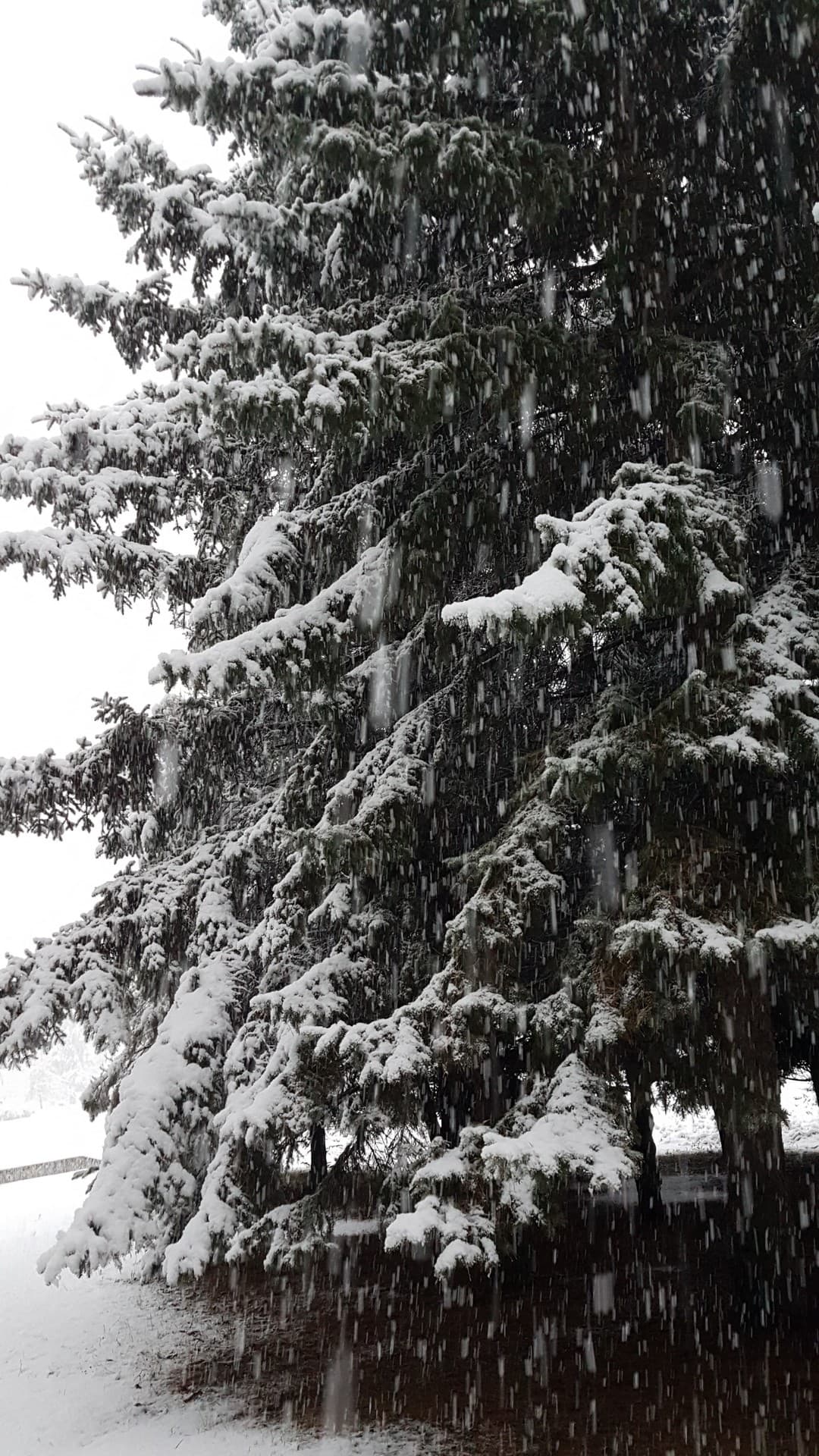 winter