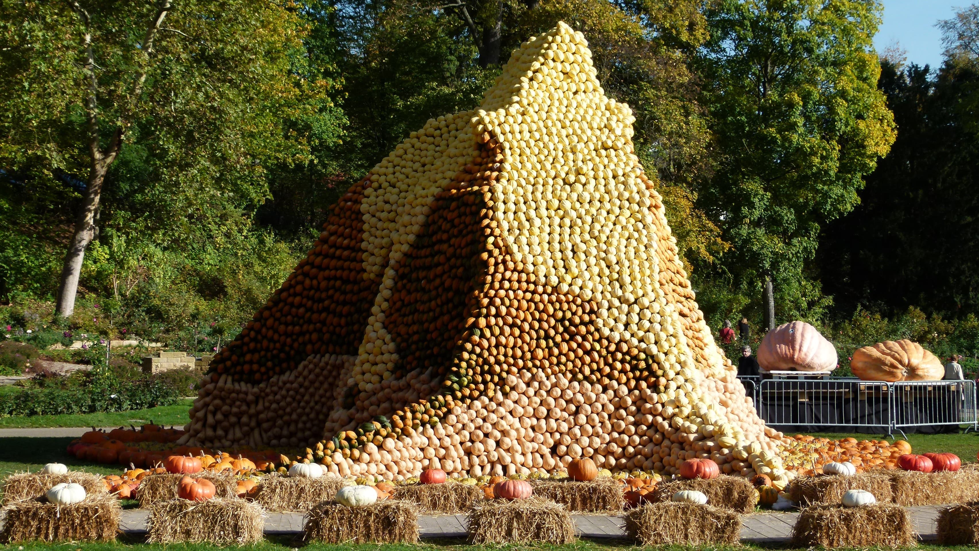 Kürbis Ausstellung Blühendes Barock Schloss 2012