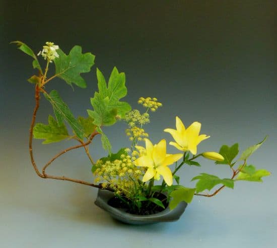 floristry, ikebana 배경화면