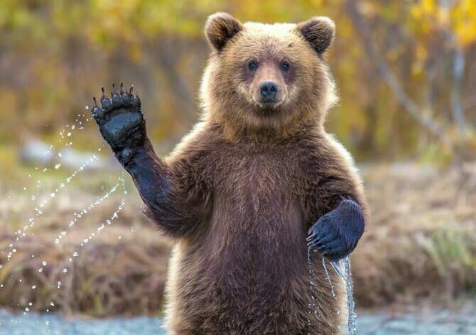 приветик!✋