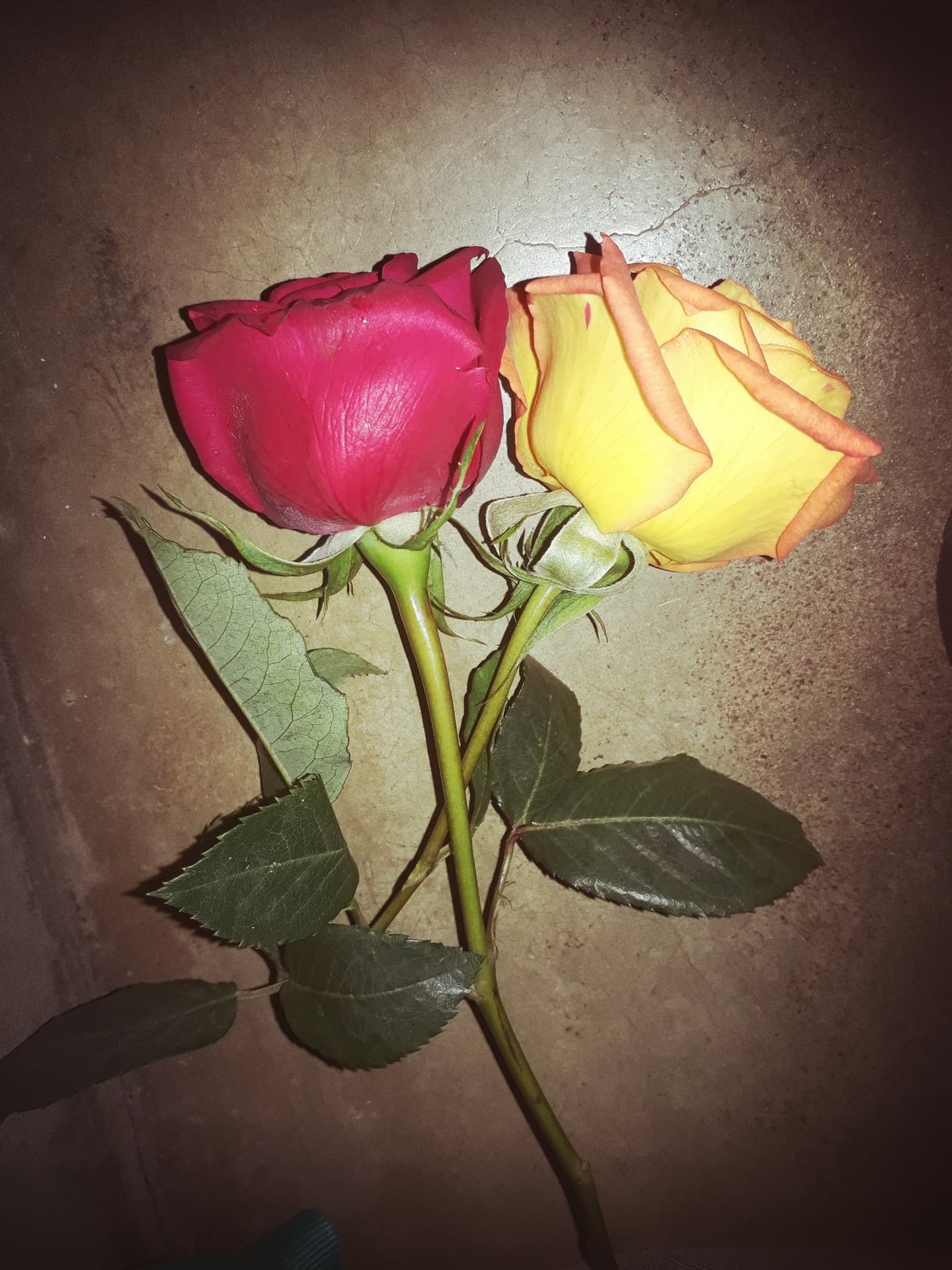 My valentine??