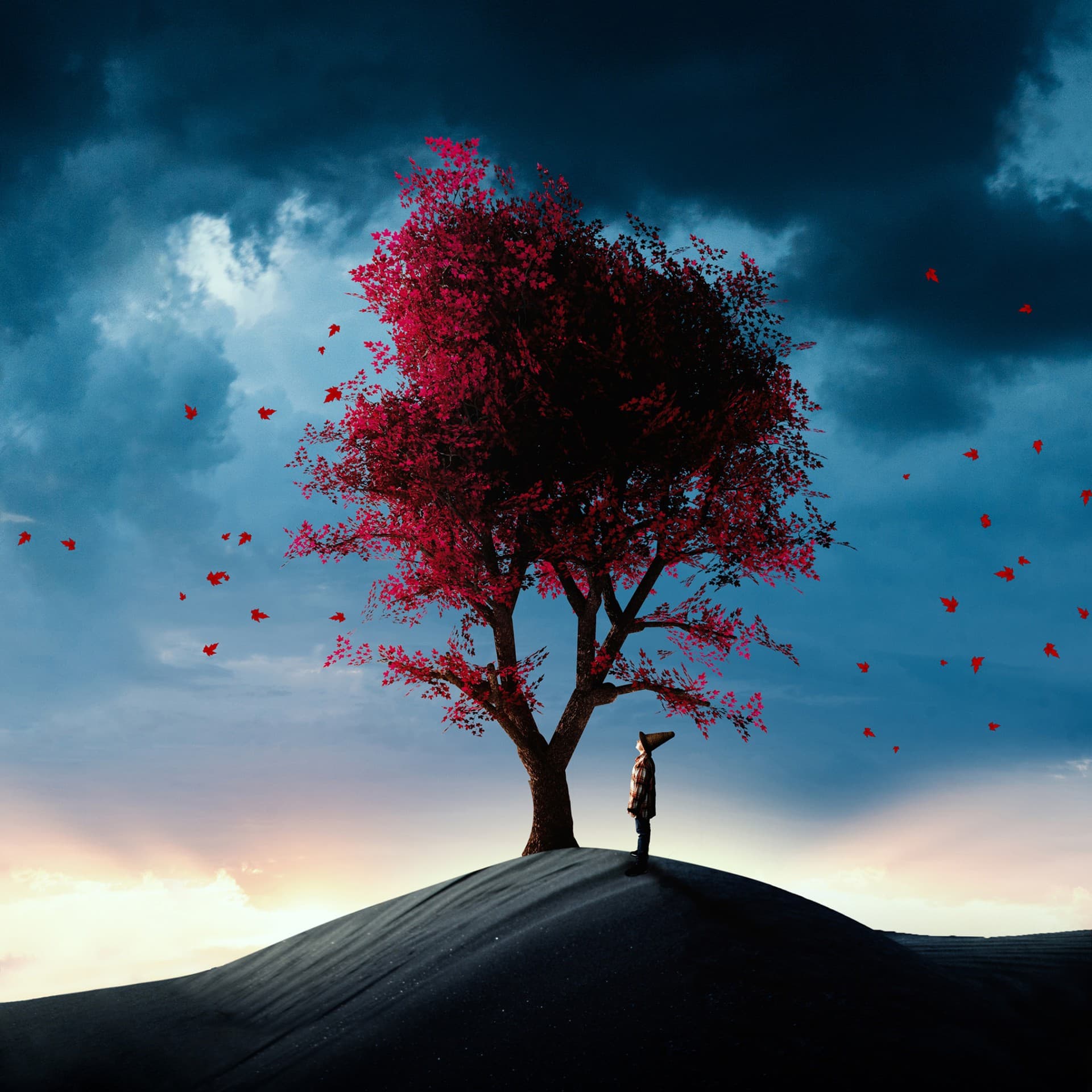 Nature - Tree