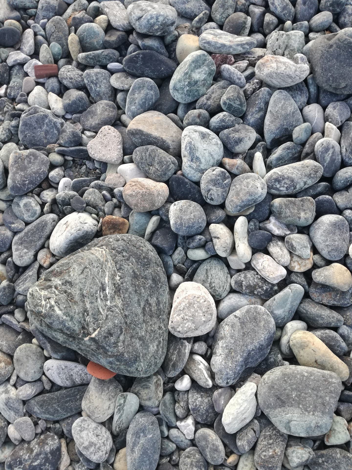 rocks