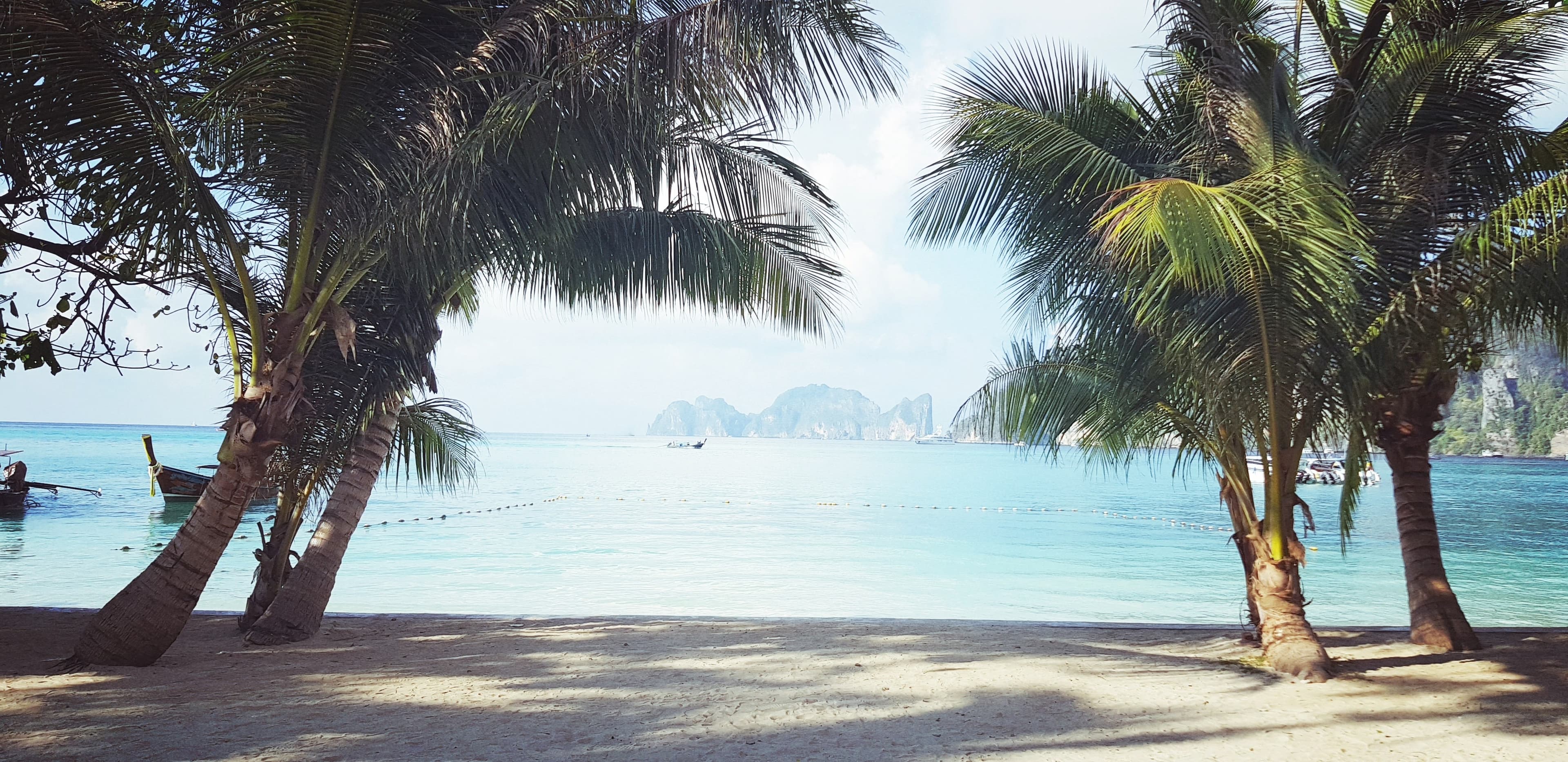 Thai Paradise