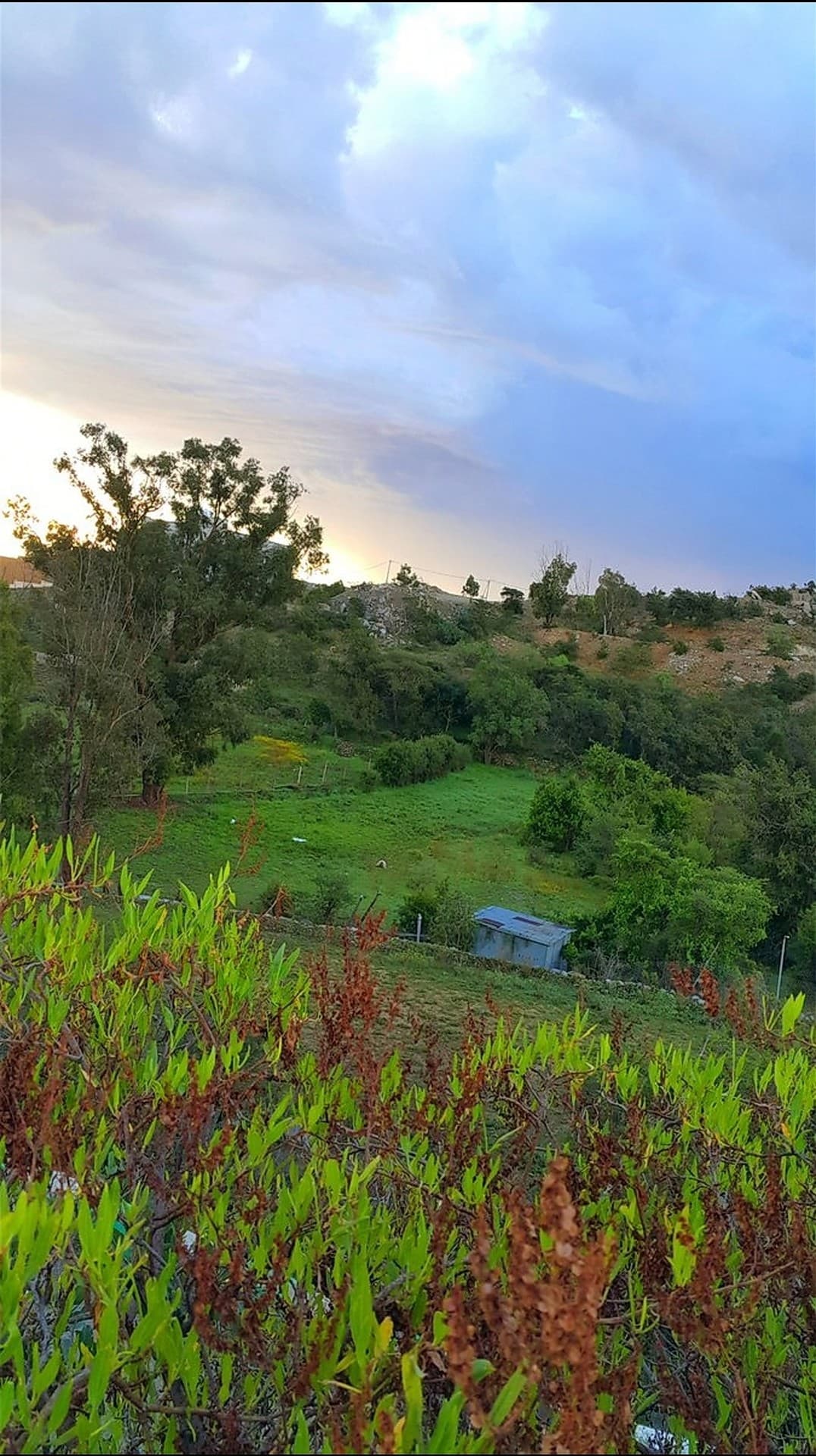 Albaha city