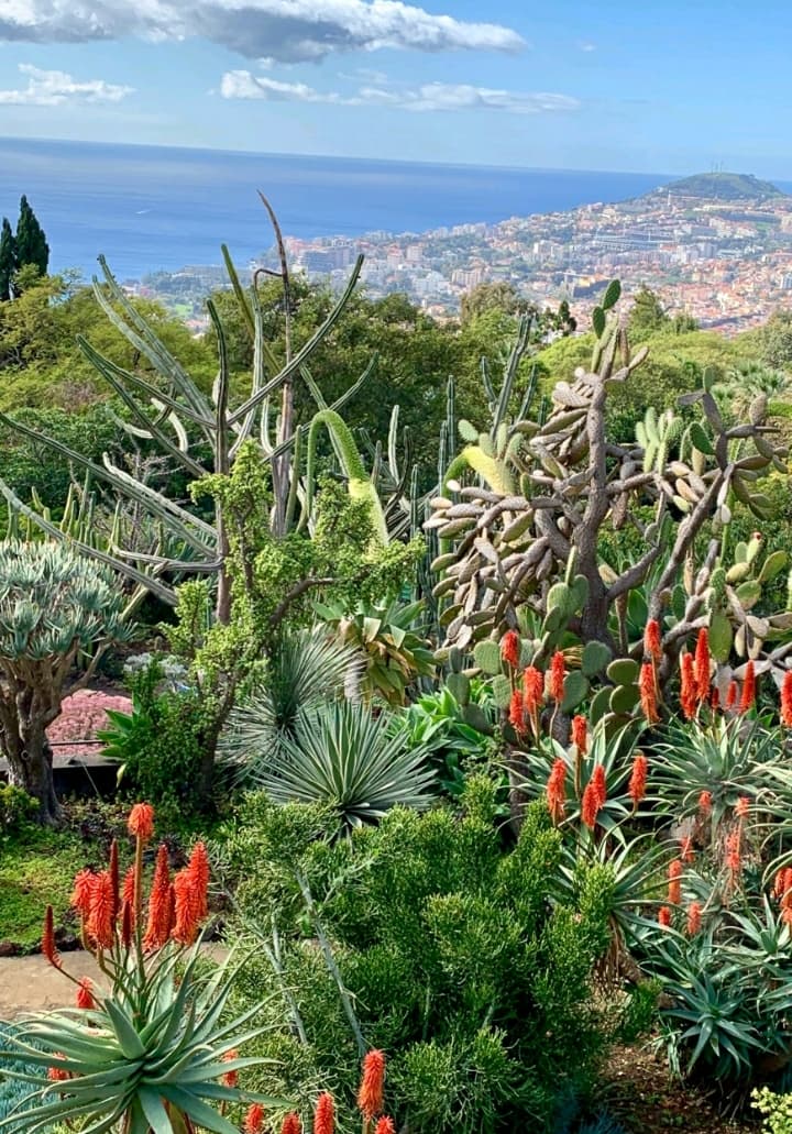 variousplants