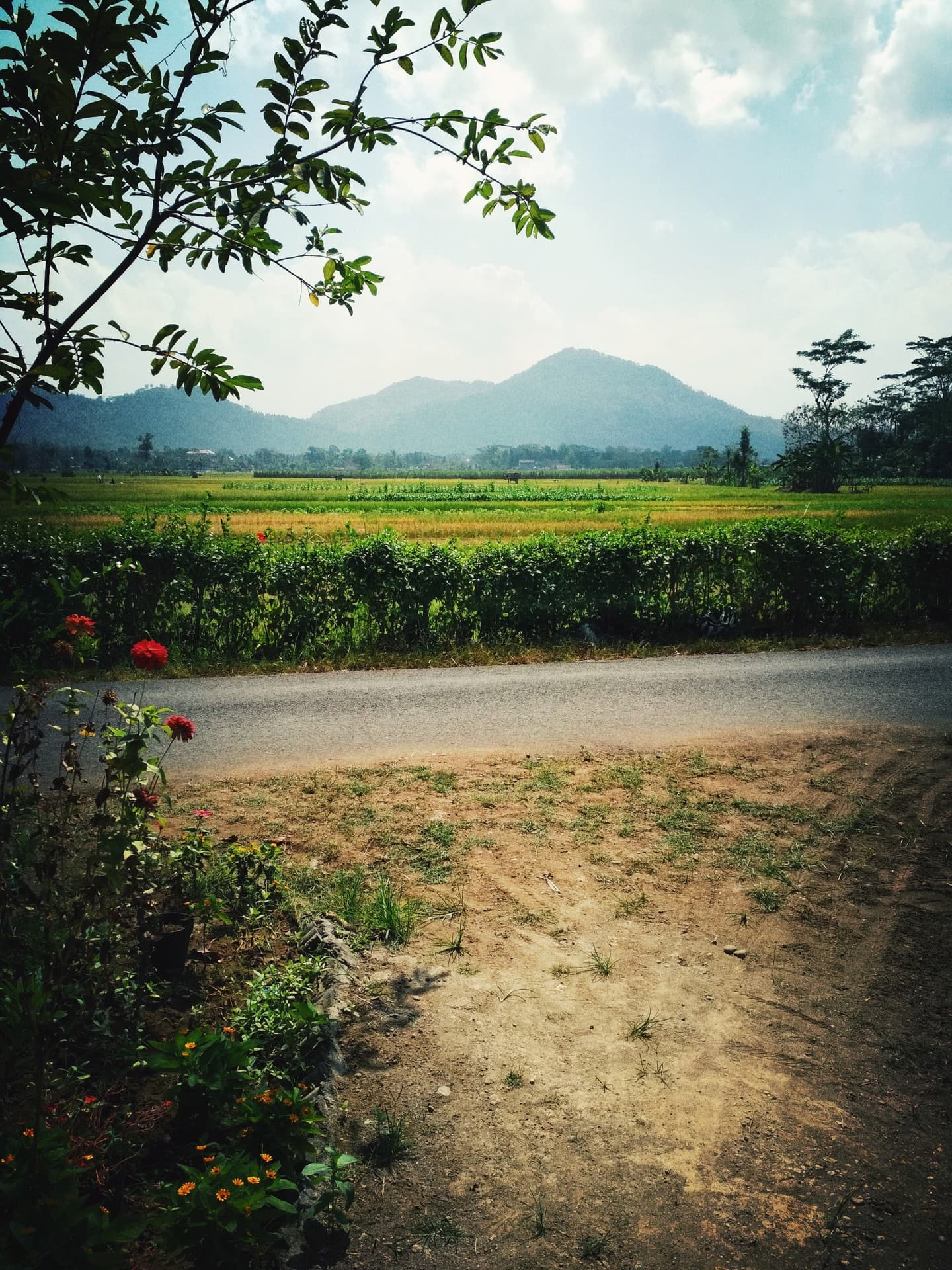 nature