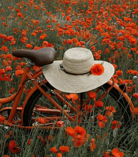 nice place