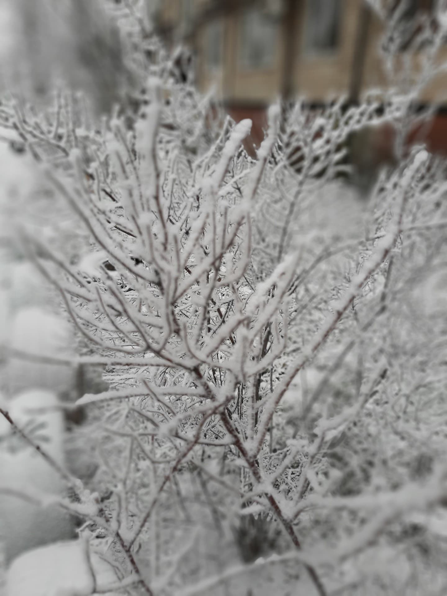 winter