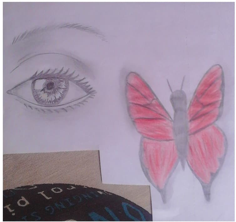 Eye and butterfly