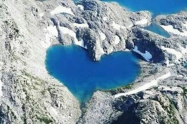 heart