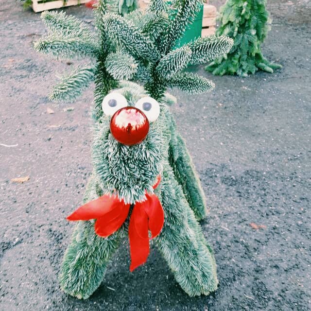 Eine schöne Adventszeit.