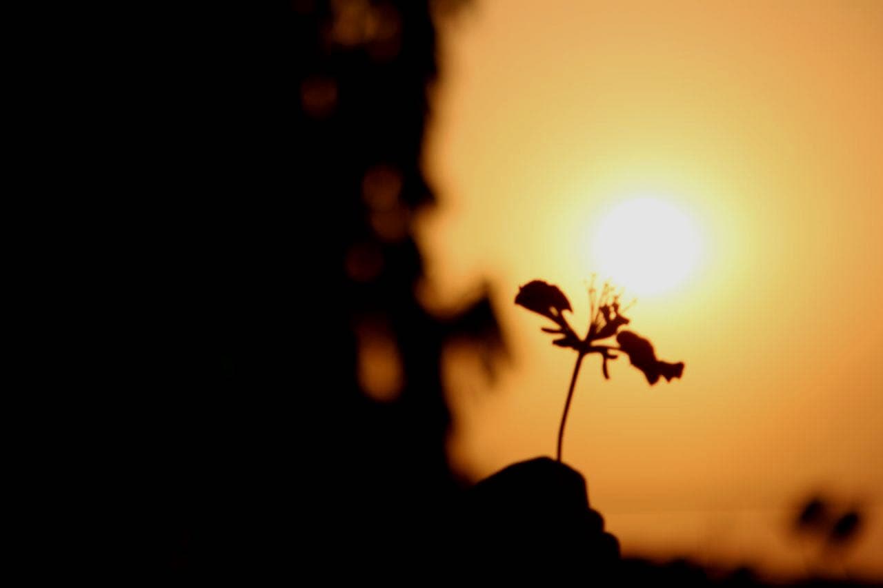beauty of darkness