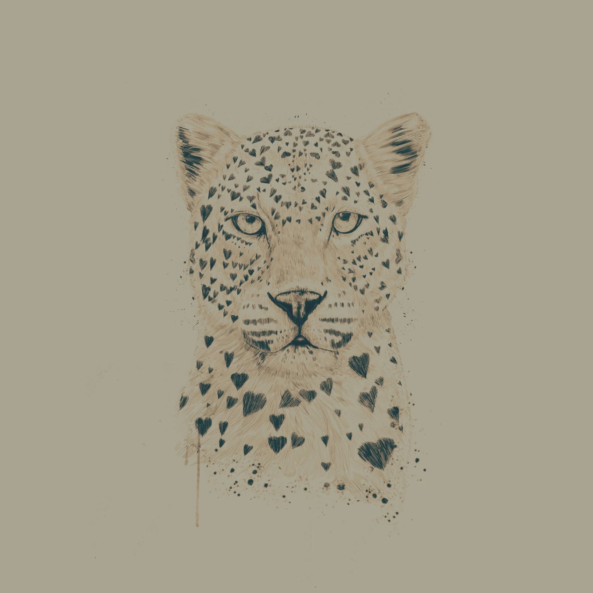 big cat
