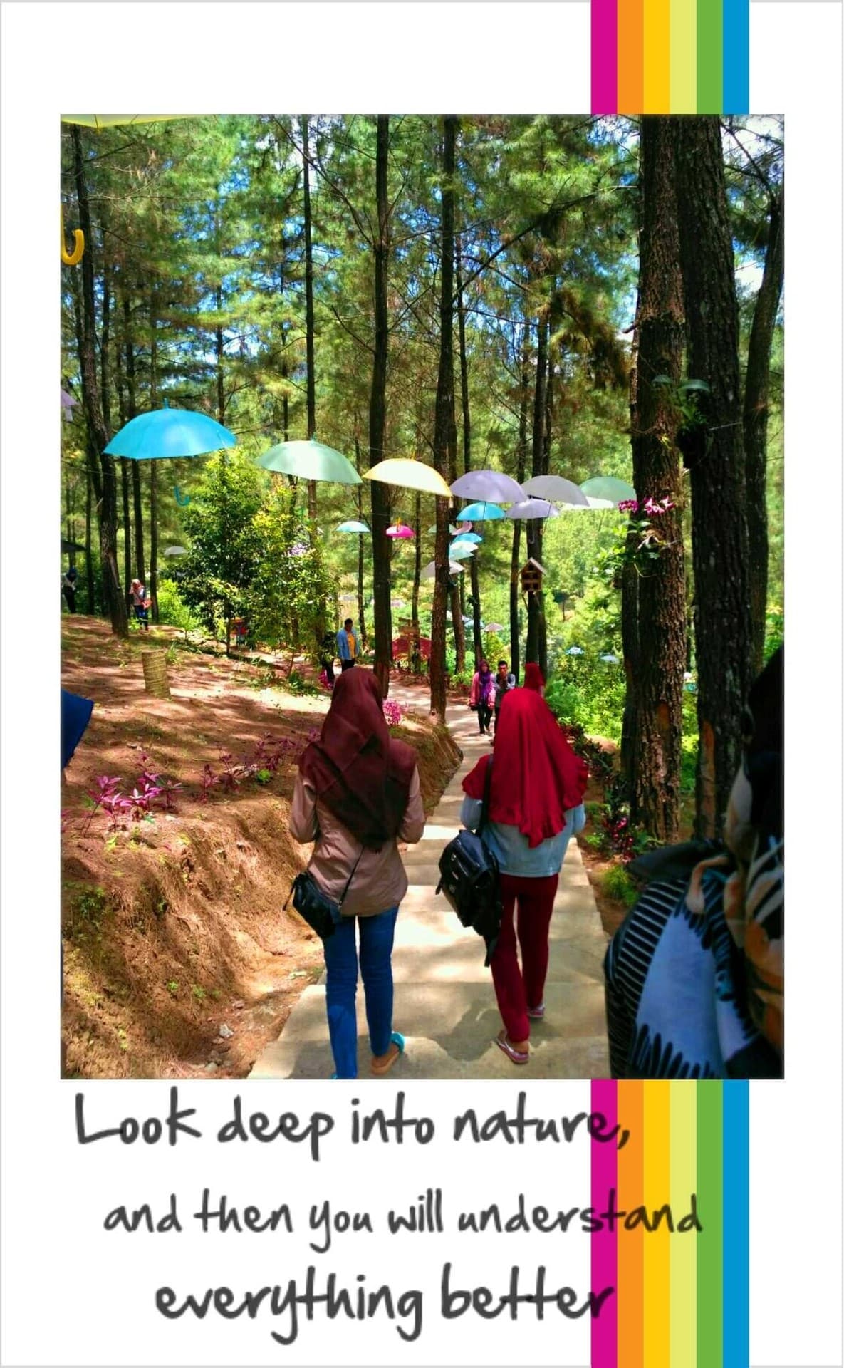 nature