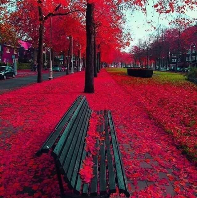 red