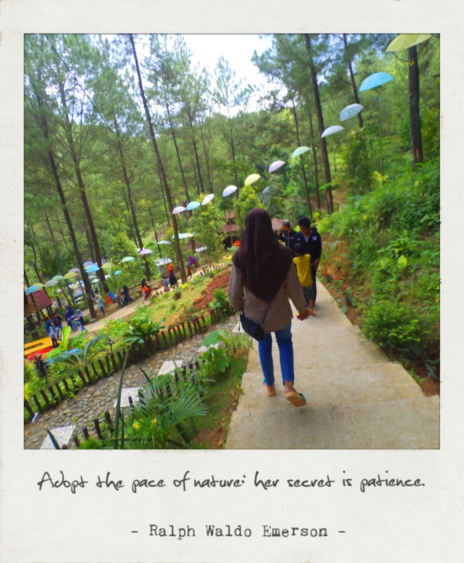 nature