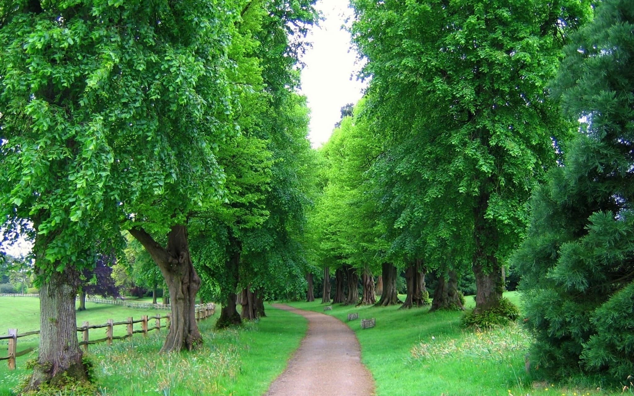 nature