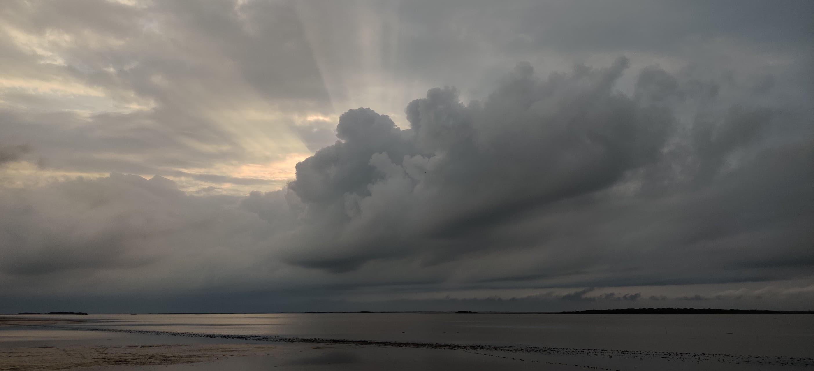 pulicat