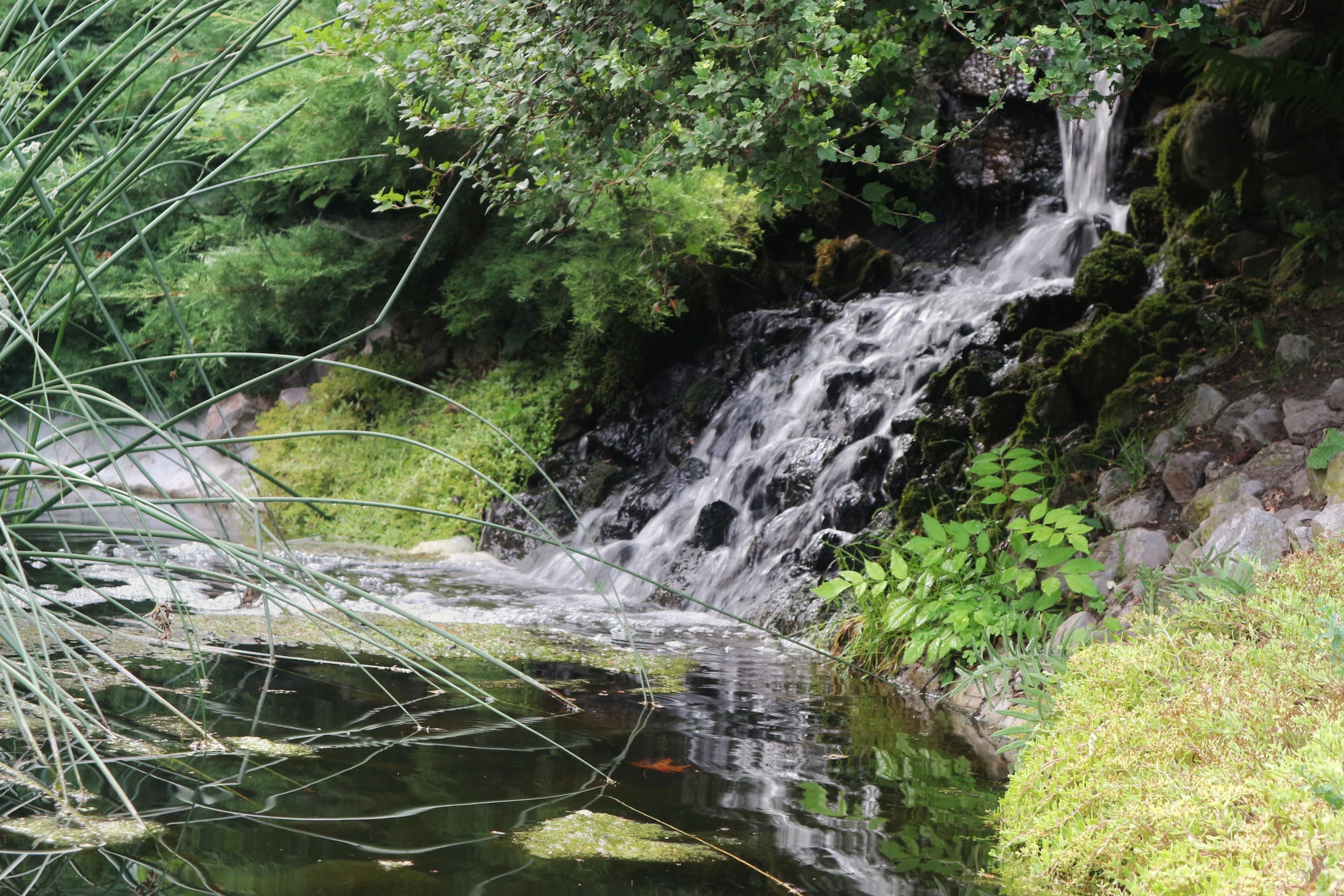 Waterfall