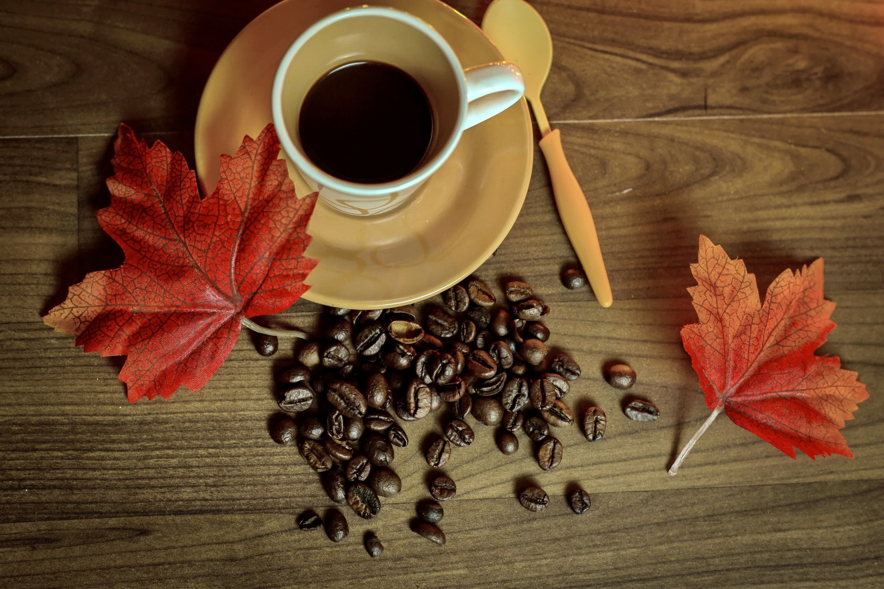 coffee in fall