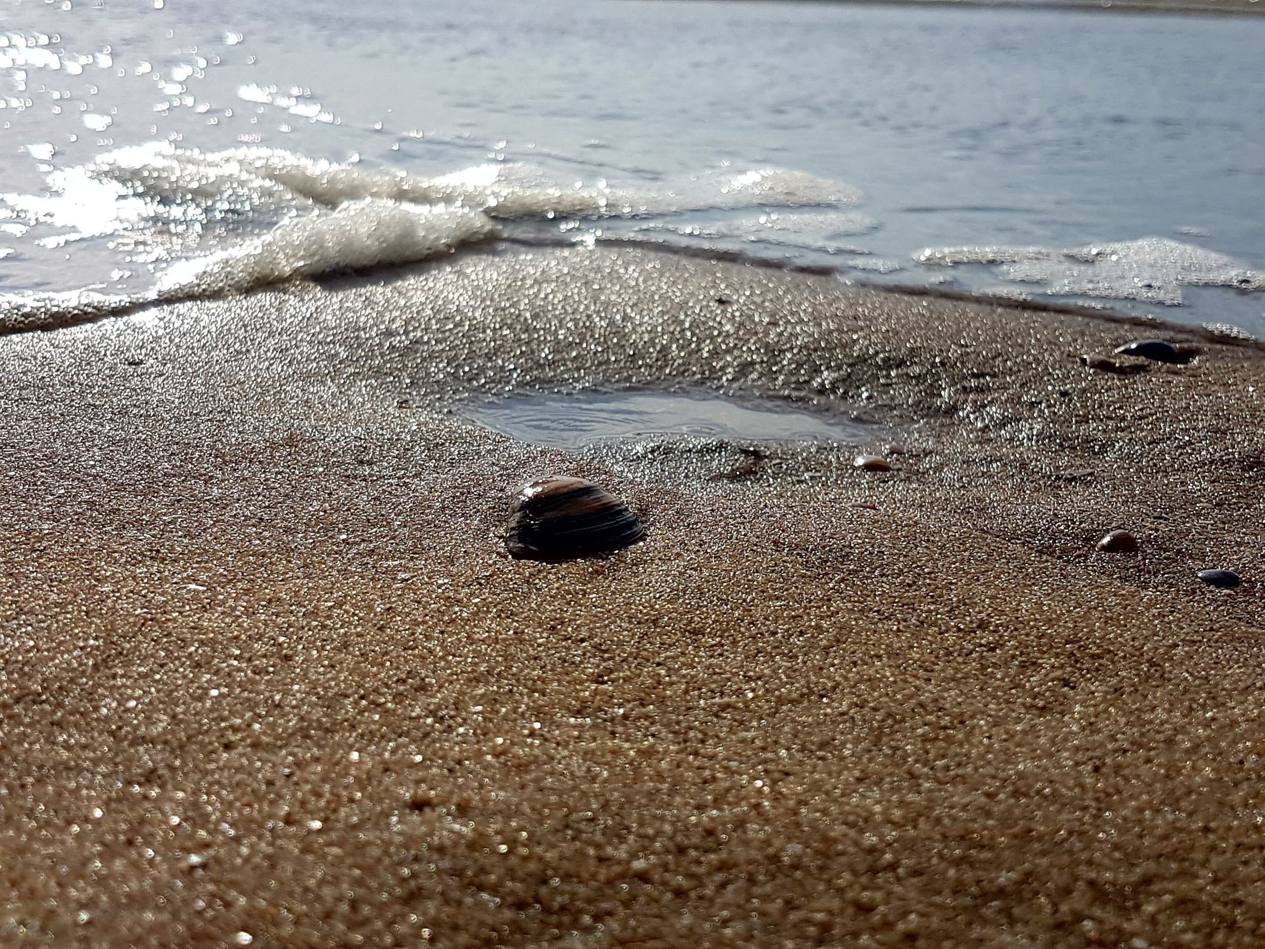 beach