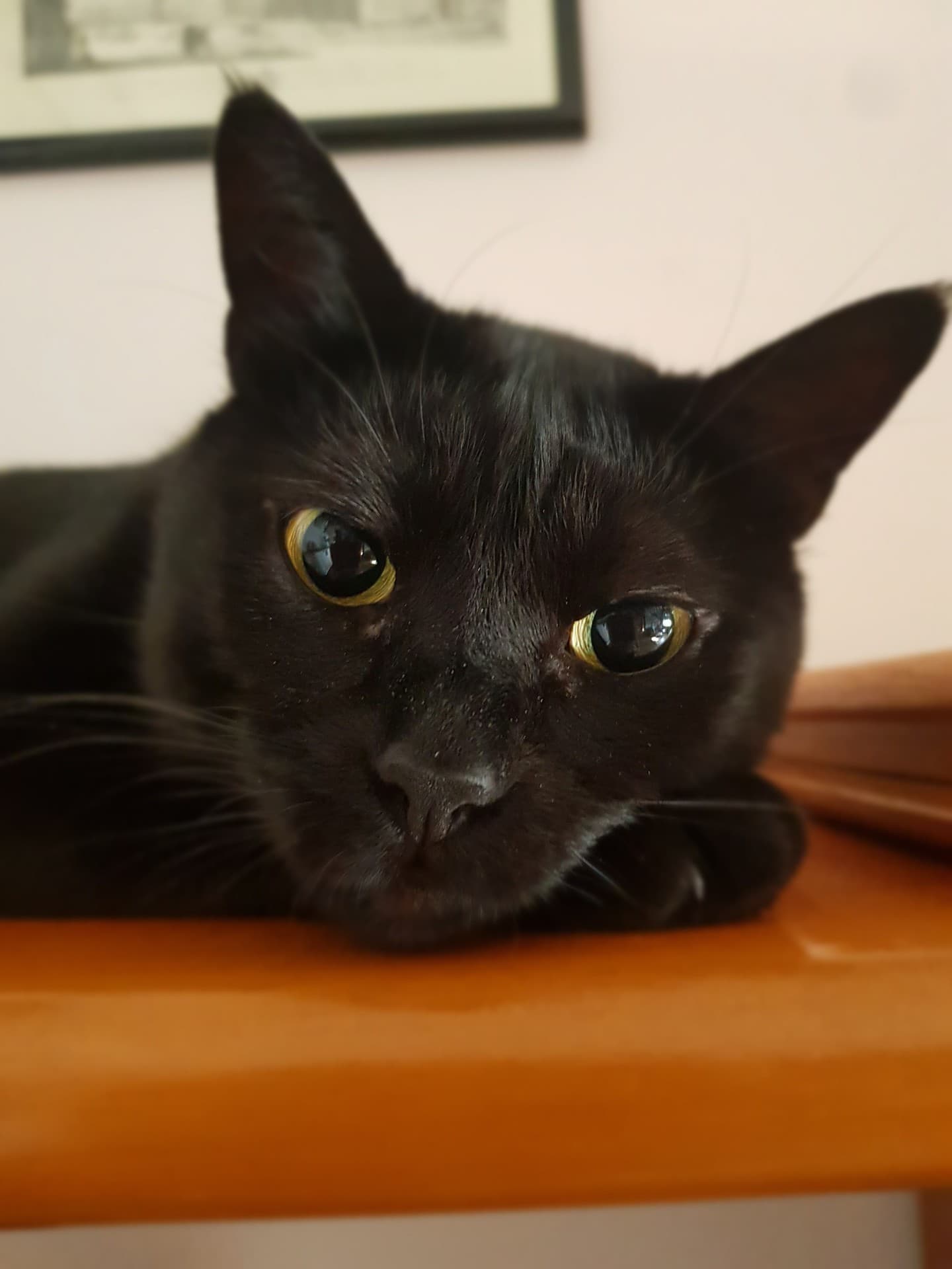 my love