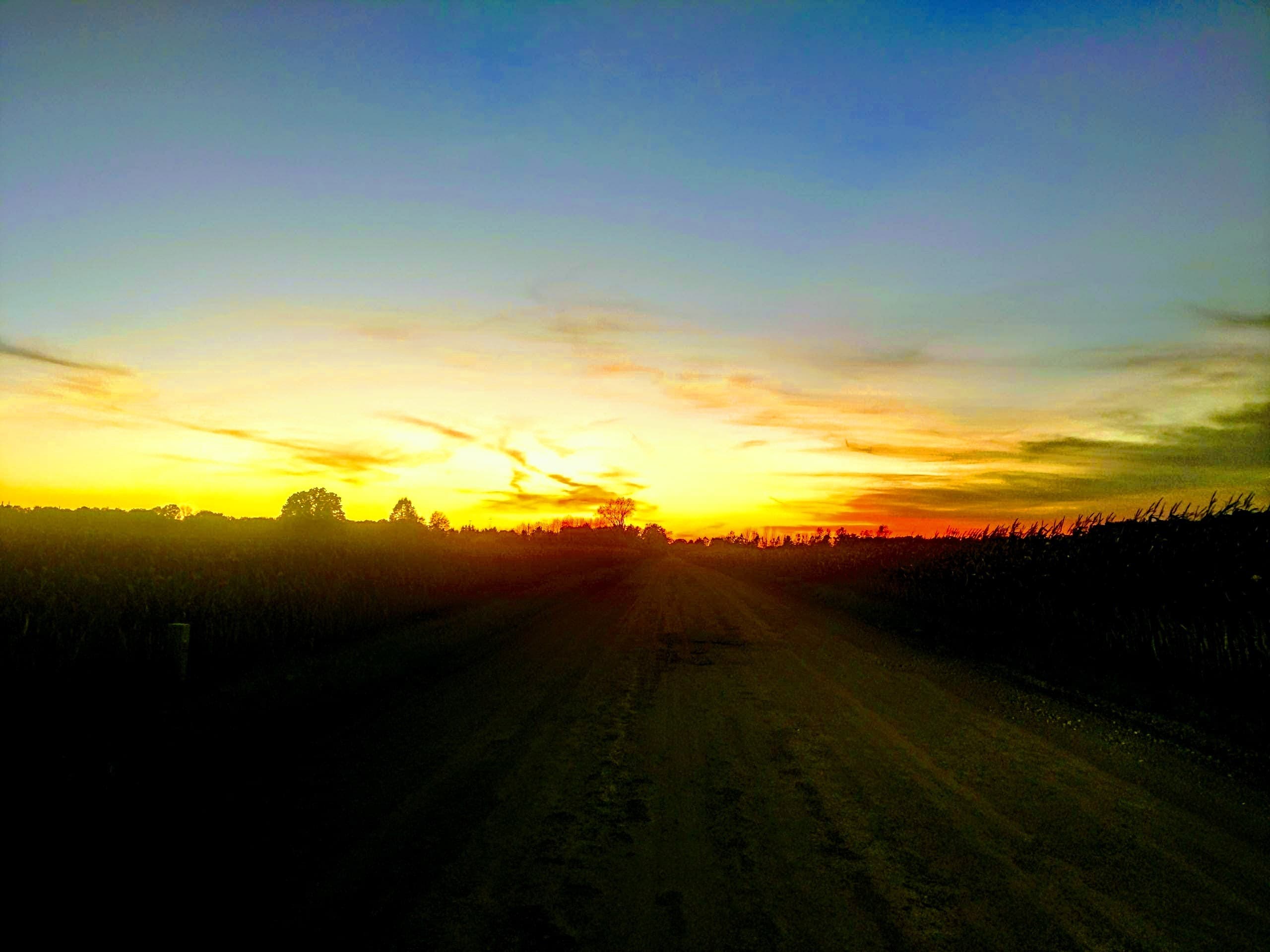 Autumn Country Road at Dusk
