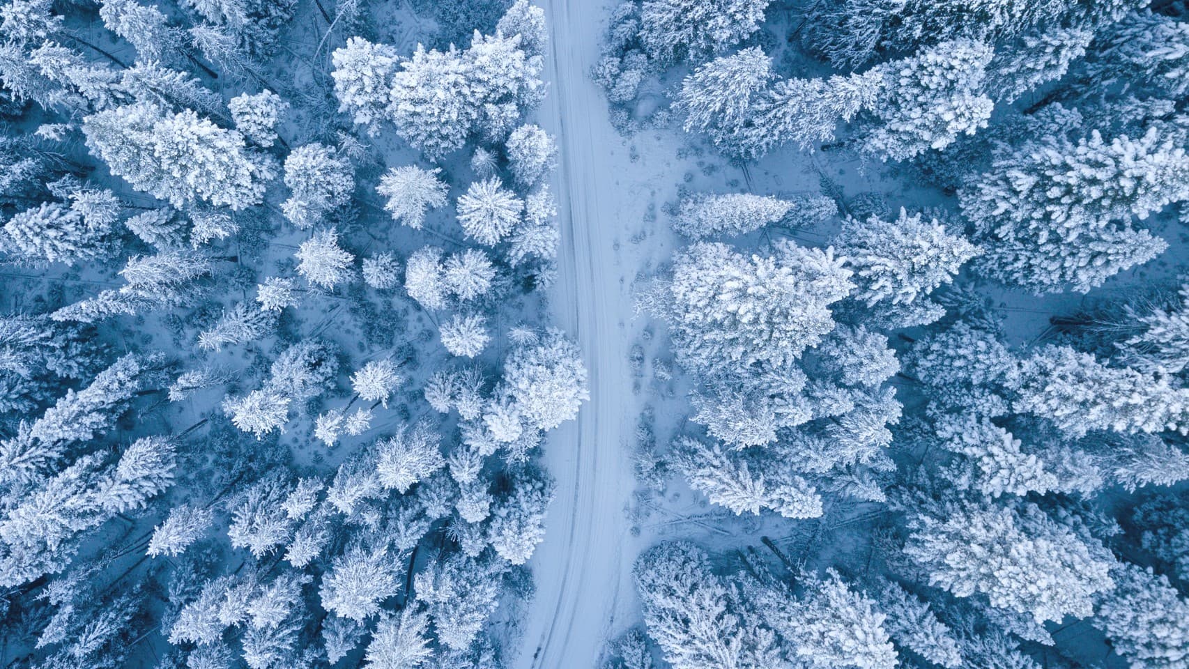 ice land