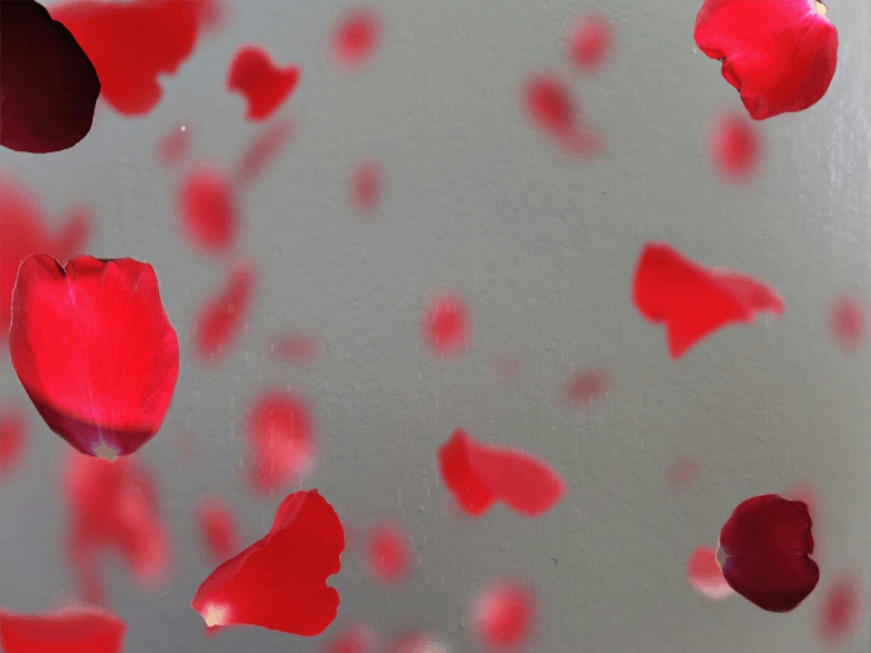 Rose Petals