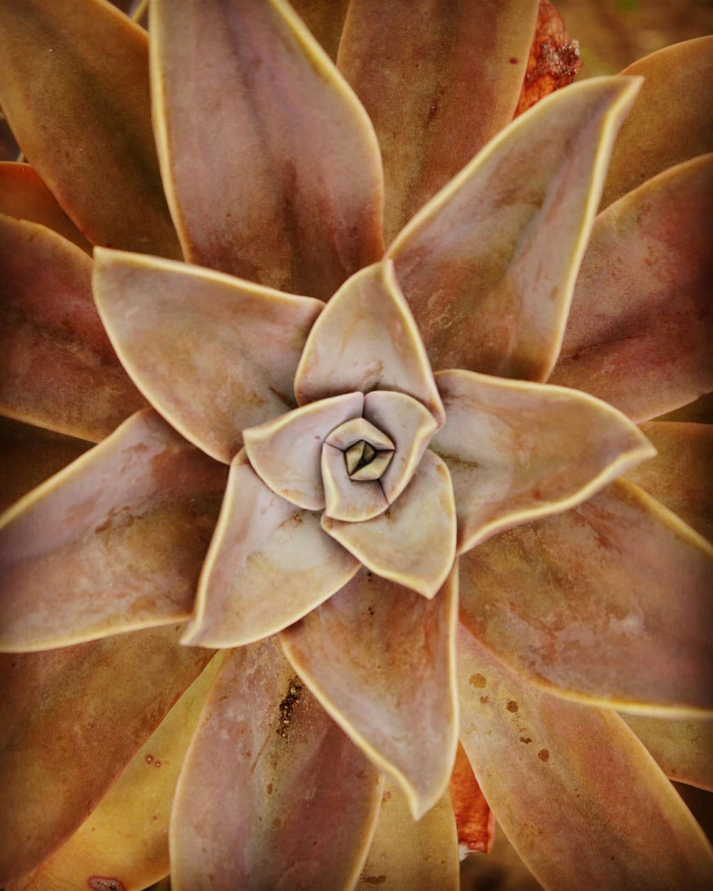 Beauty in symmetry