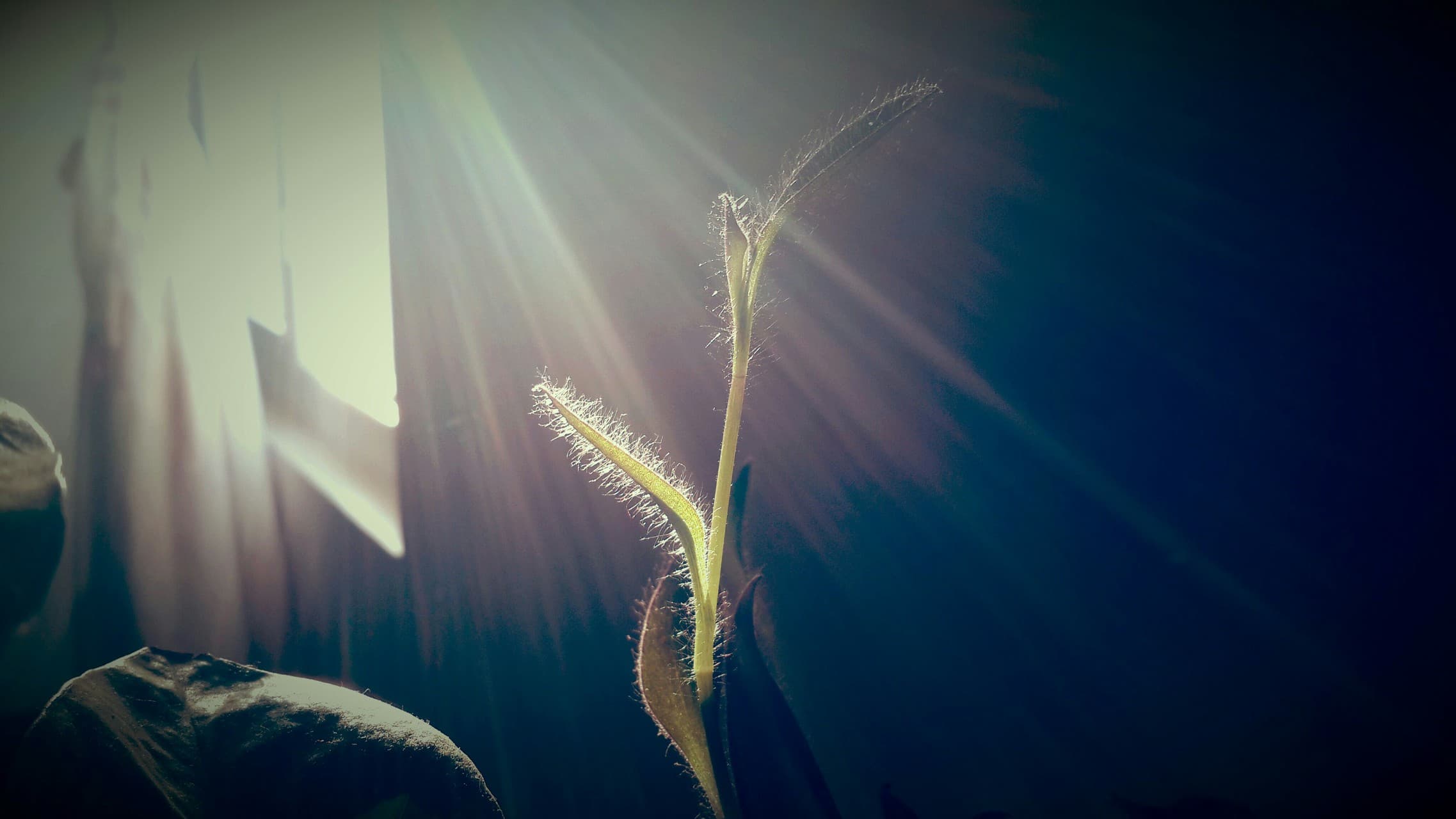 shine on me