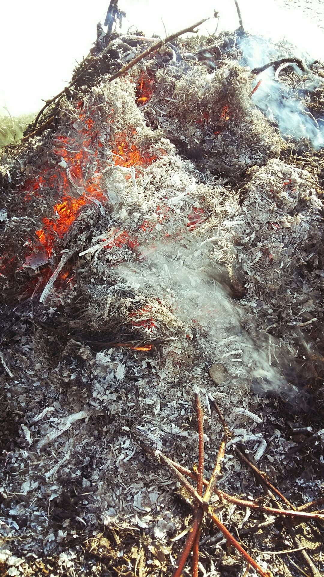 the fire