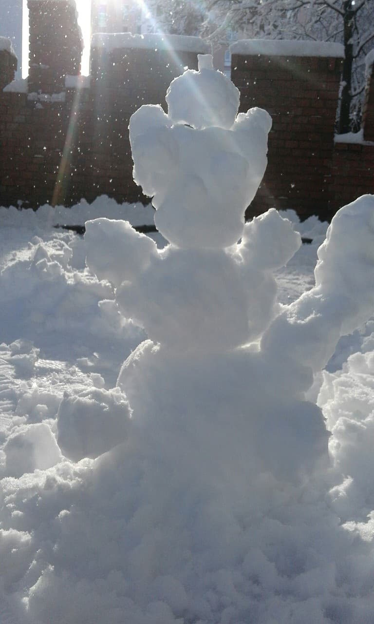Snowman⛄❄