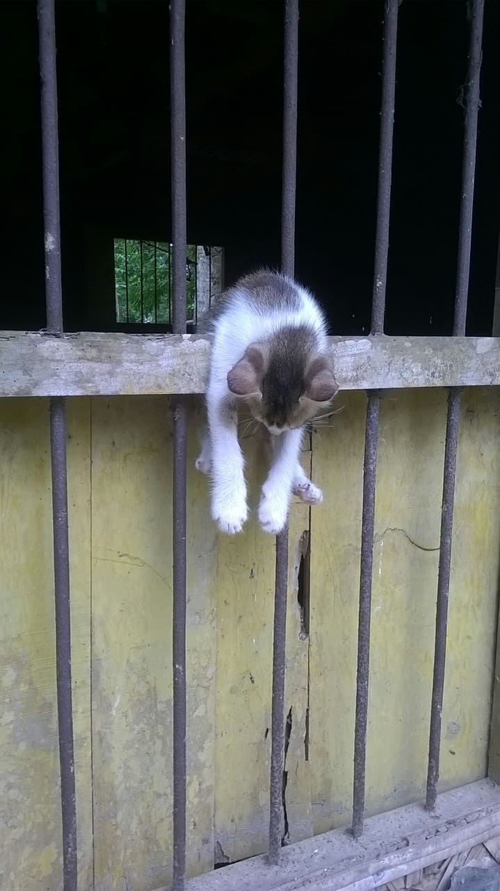 cute