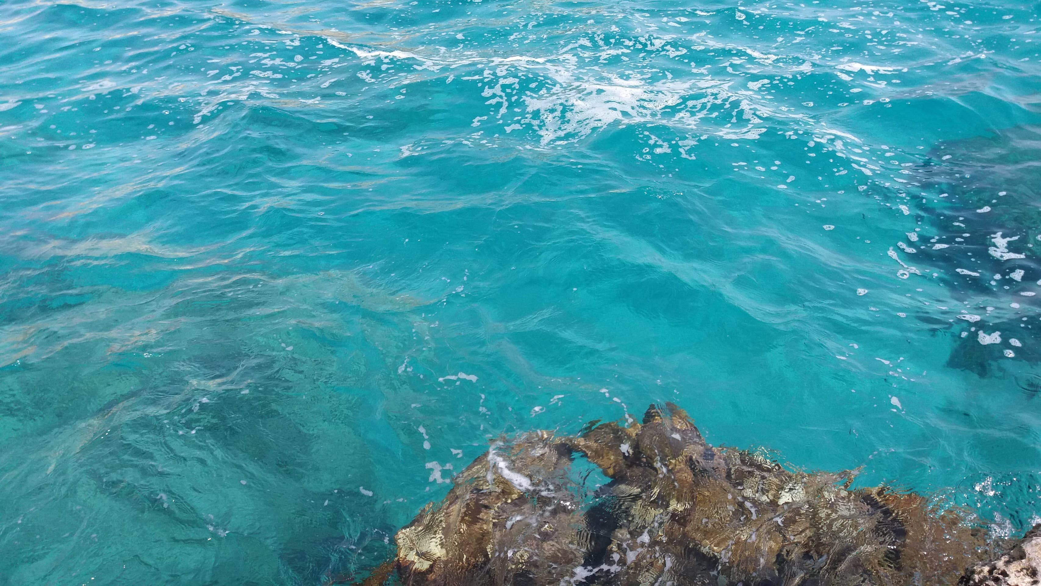 il mare