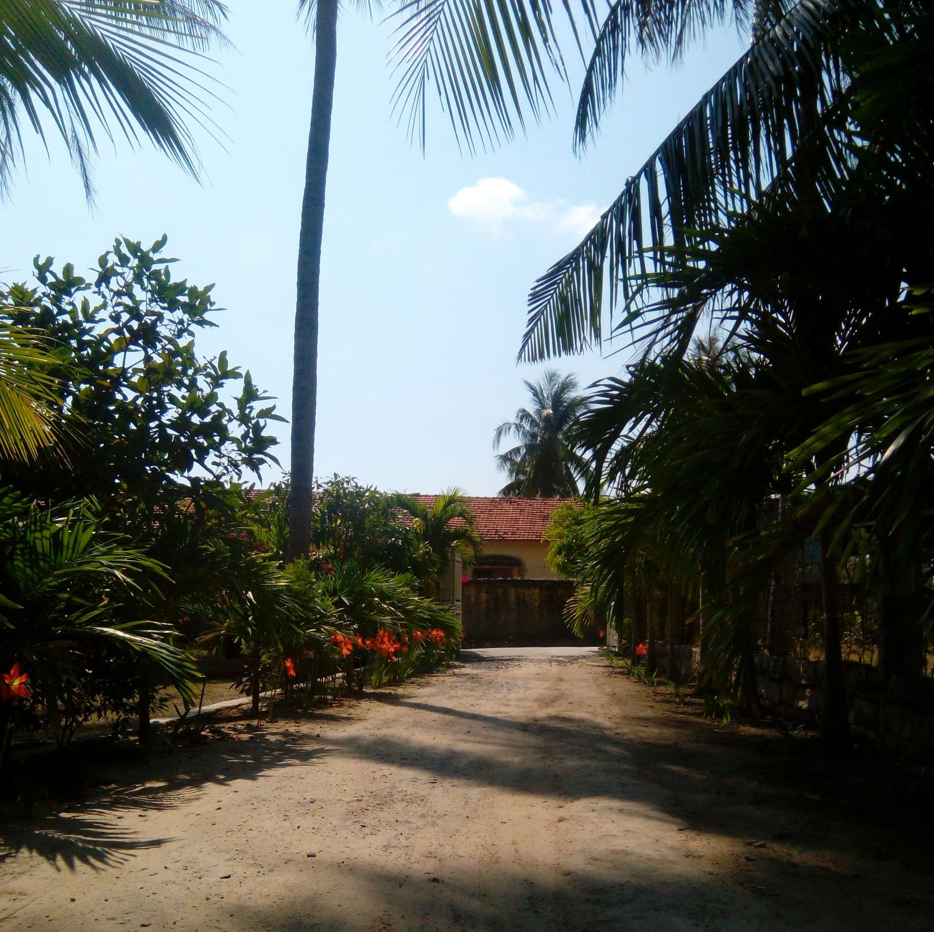 Con đường